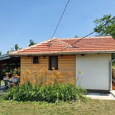 Vajat Orasac أراندجيلوفاك