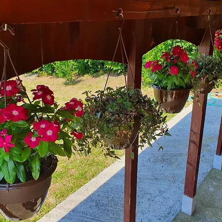 Vajat Orasac بيت للعطل *