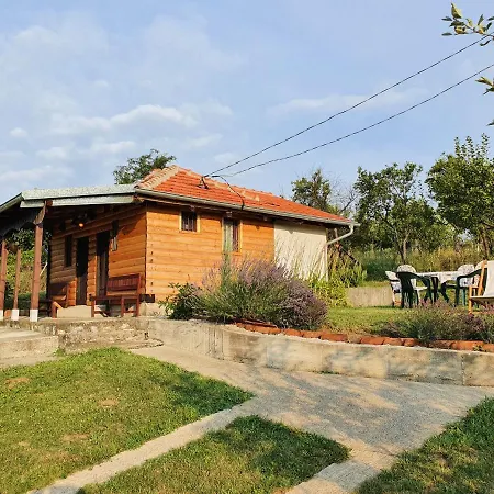 Tatil Evi Vajat Orasac