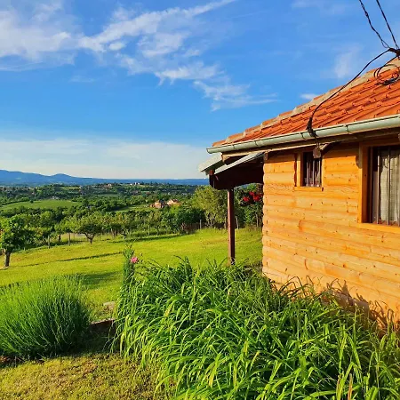 Vajat Orasac Holiday home *