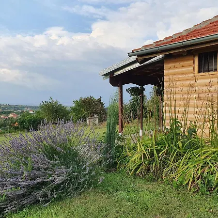 Vajat Orasac Holiday home *