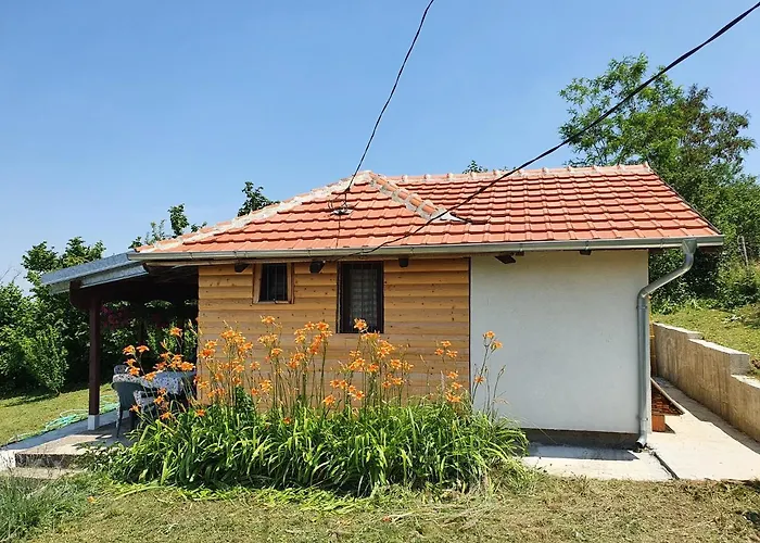 Vajat Orasac Arandjelovac