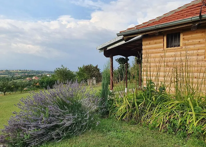 Vajat Orasac Дом отдыха *