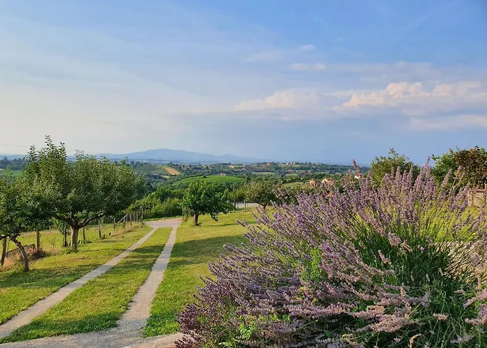 Vajat Orasac * Arandjelovac